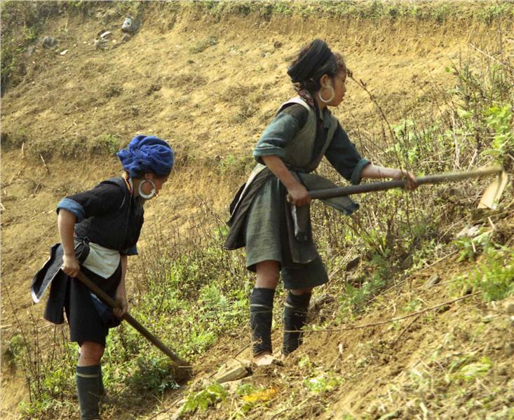 Ta Van Village - Hmong women in working time