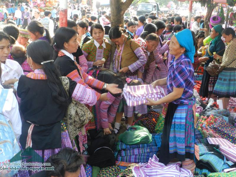 Moc Chau cultural tourism festival to be held