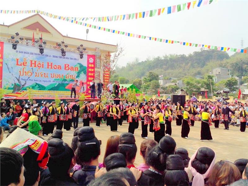 Bauhinia Flower Festival spreads northwest Vietnam