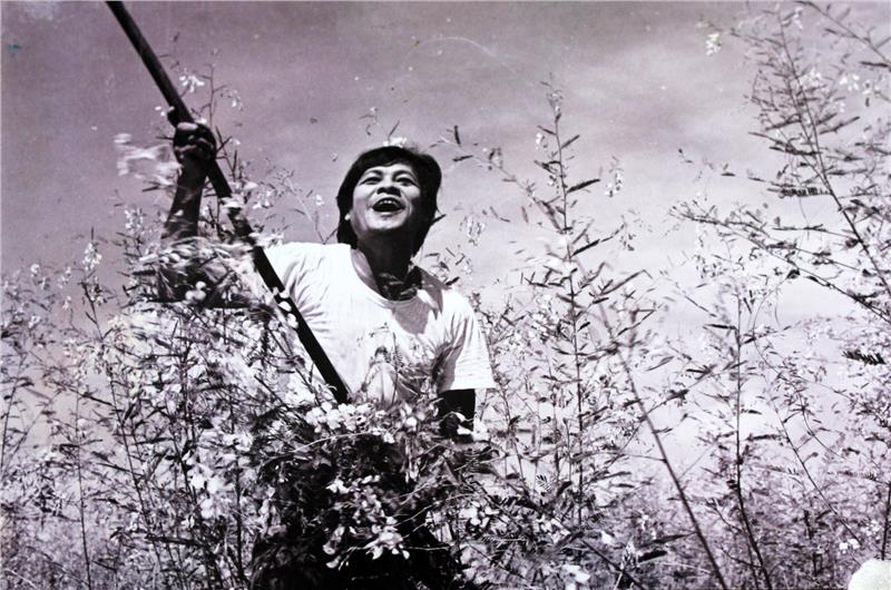 The Wild Field among the first film of Vietnam