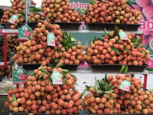 Vietnam fruit appeals world market