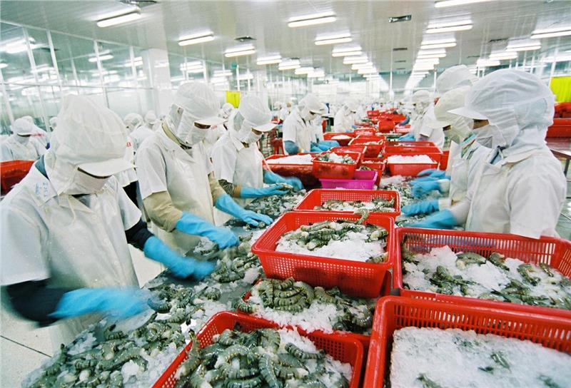 Shrimp - one of major export commodities in Vietnam