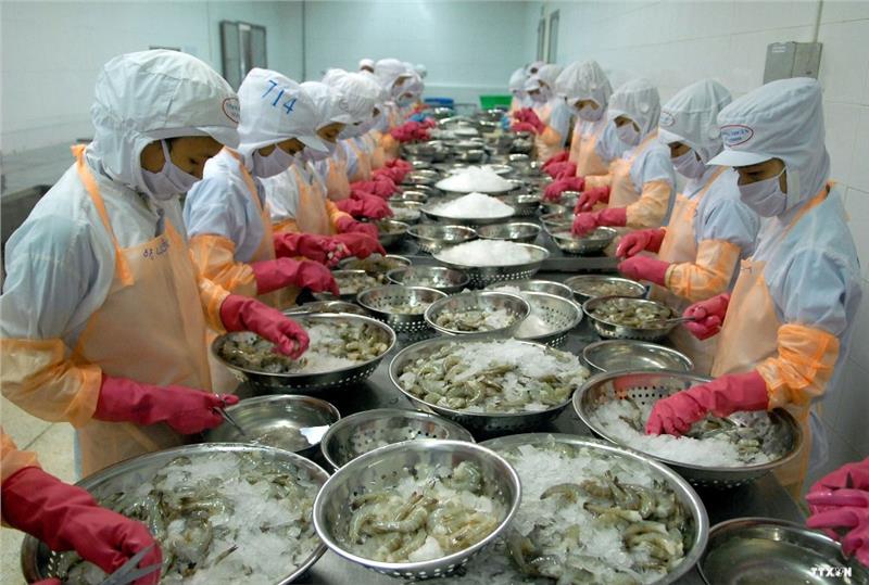 Vietnam - Japan agricultural cooperation in seafood