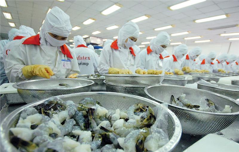 Vietnam enterprises expand shrimp export