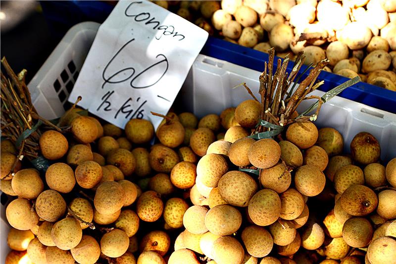First batch of Vietnam longan exported to the US market