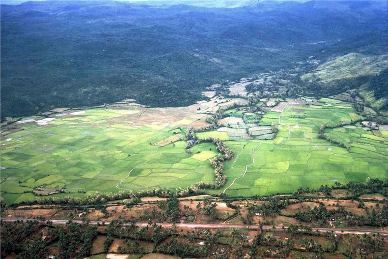 Plain area in Quang Ngai