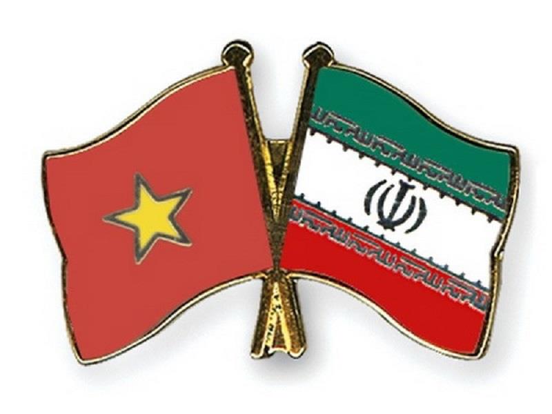 Flag Pin Vietnam - Iran