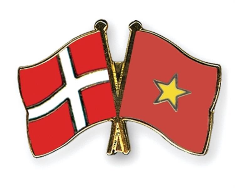 Flag Pins Denmark Vietnam