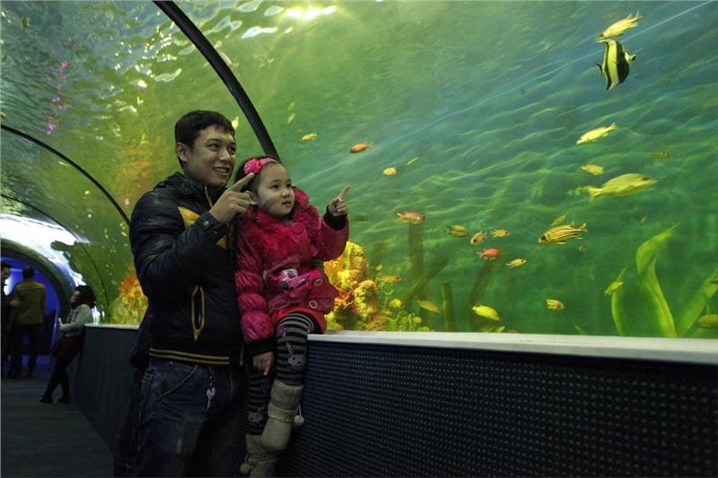 Children in Vinpearl Aquarium - Times City Hanoi