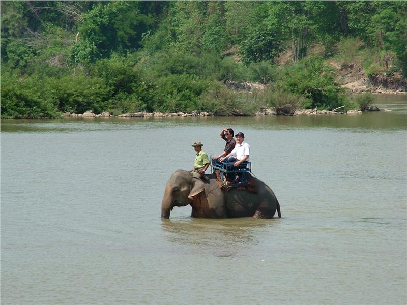 Elephants transport tourist in Central Highlands