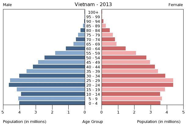 Vietnam Population Pyramid