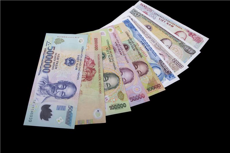 Vietnamese banknotes