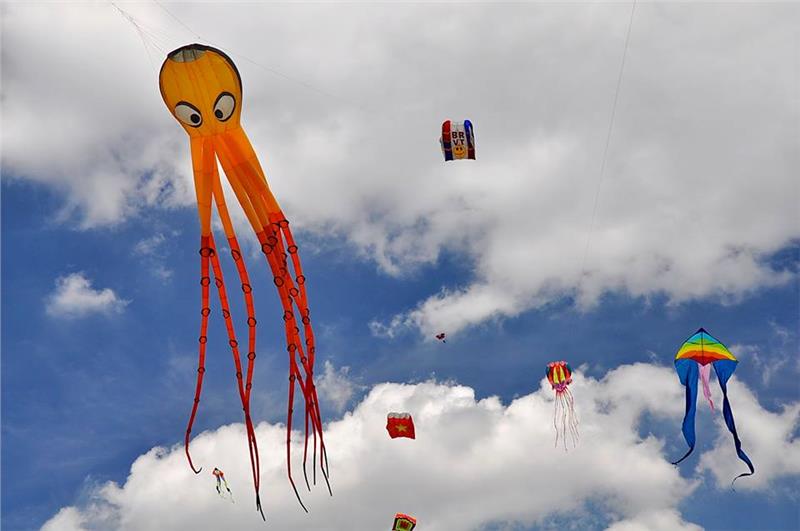 Colorful kites in the International Kite Festival 2014