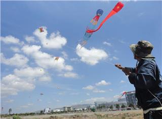 International Kite Festival 2014 flying with Vietnam